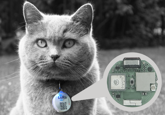 LoRa Cat!